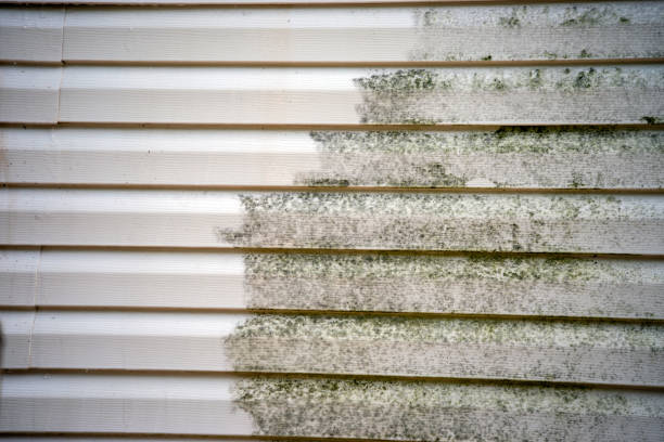 Best Fiber Cement Siding Installation  in Graysville, AL