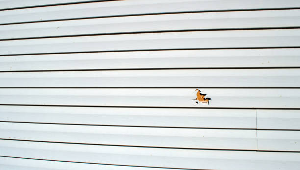 Best Engineered Wood Siding  in Graysville, AL